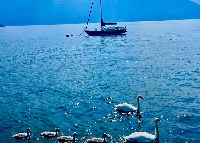 Casa Gambusso Historical House Magnificent View Appartement *